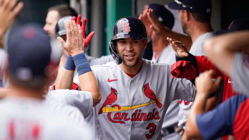 Cardinals dugout celebration
