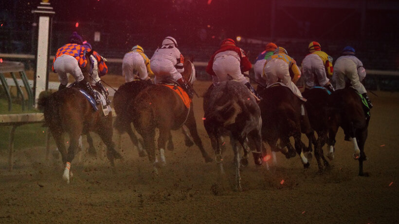 image of race horses in a race