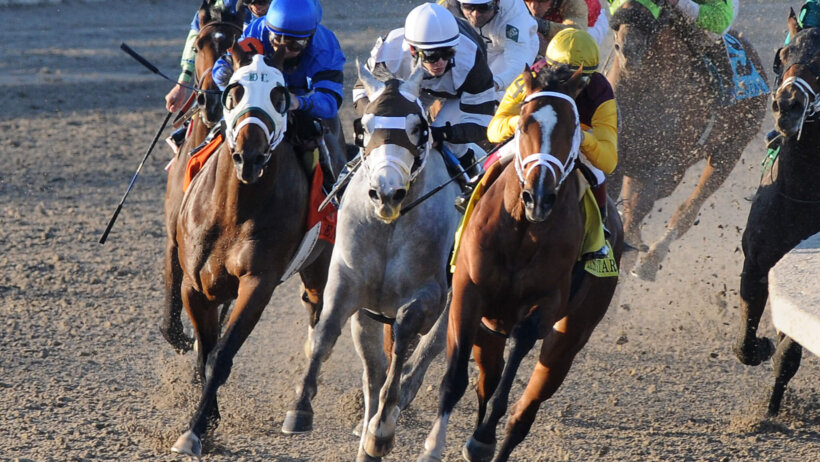 Risen Star Stakes