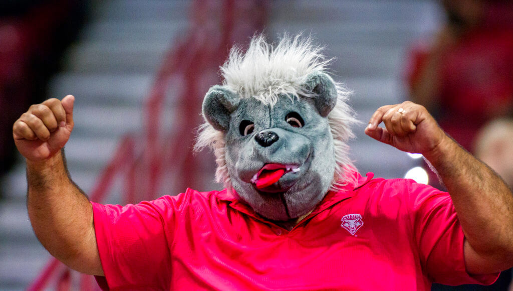 A New Mexico fan