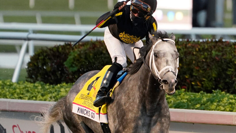 Pegasus World Cup