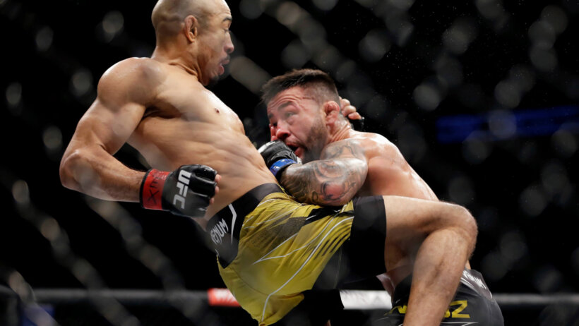 UFC Vegas 44 odds