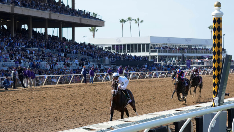 Irad Ortiz Jr