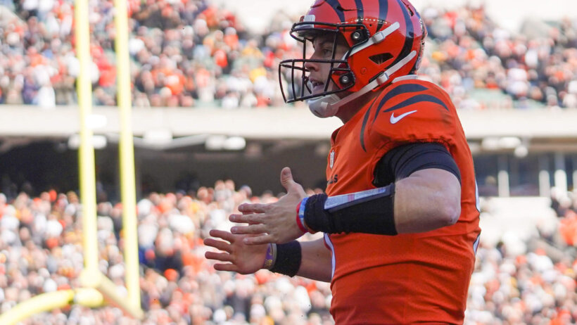 Joe Burrow TD celebration