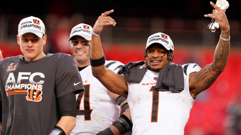 Bengals