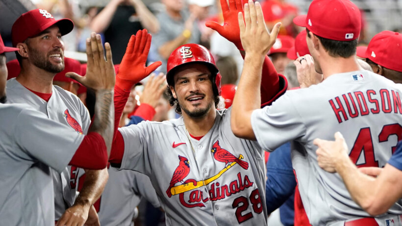 Cardinals dugout celebration