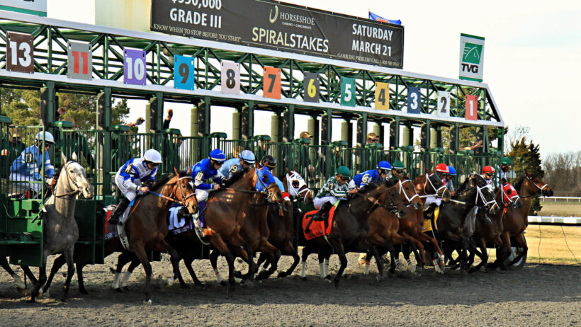 Jeff Ruby Stakes