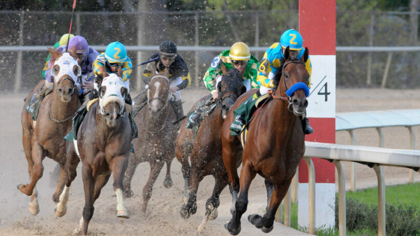 American Pharoah