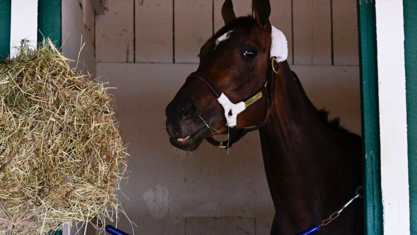 New York Stakes
