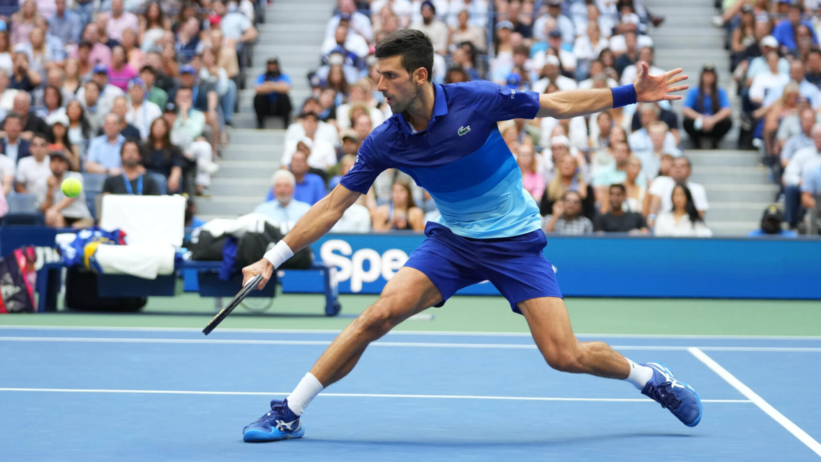 Novak Djokovic backhand at the net