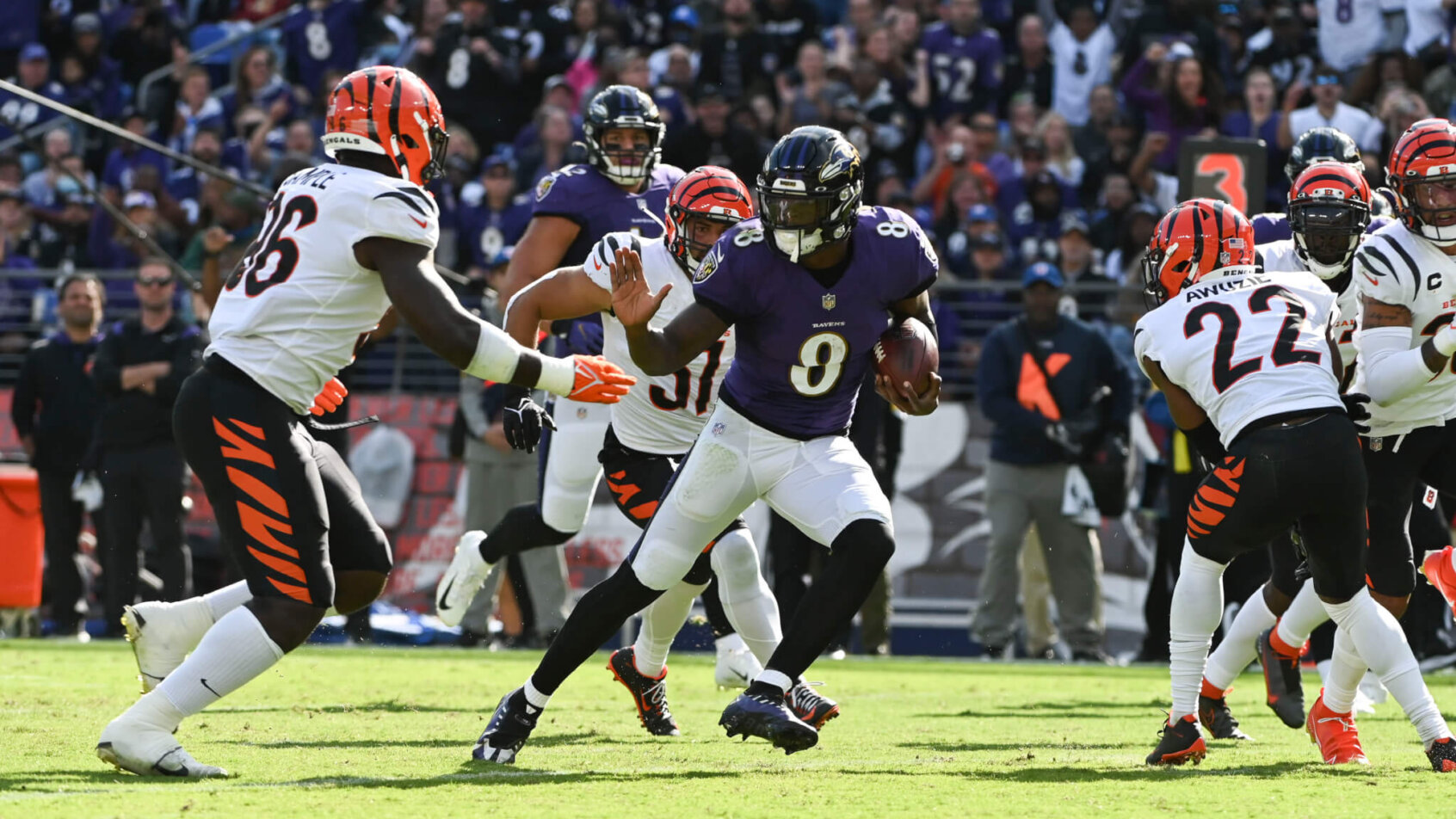 Lamar Jackson scrambles vs the Bengals