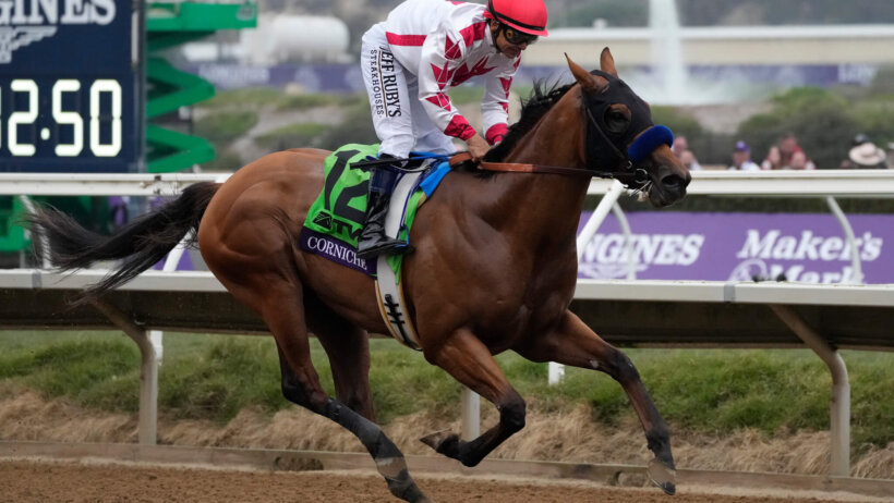 Corniche racing at Breeders' Cup
