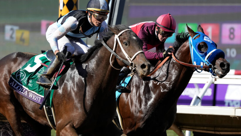 new york sports betting horse racing