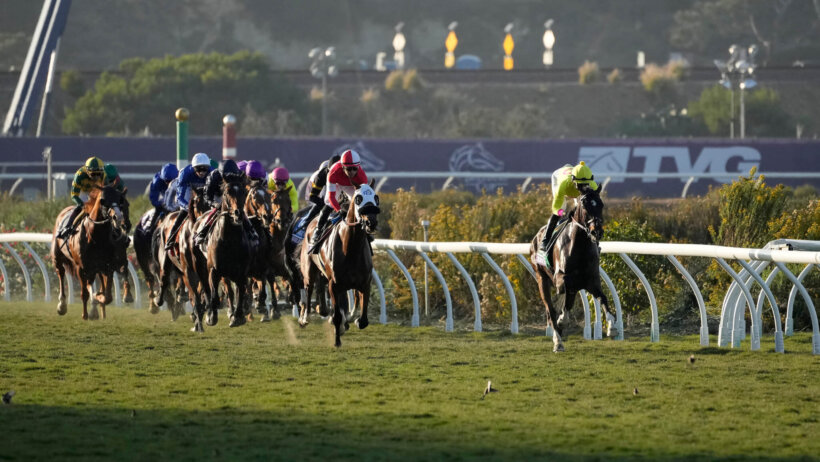 Del Mar Oaks