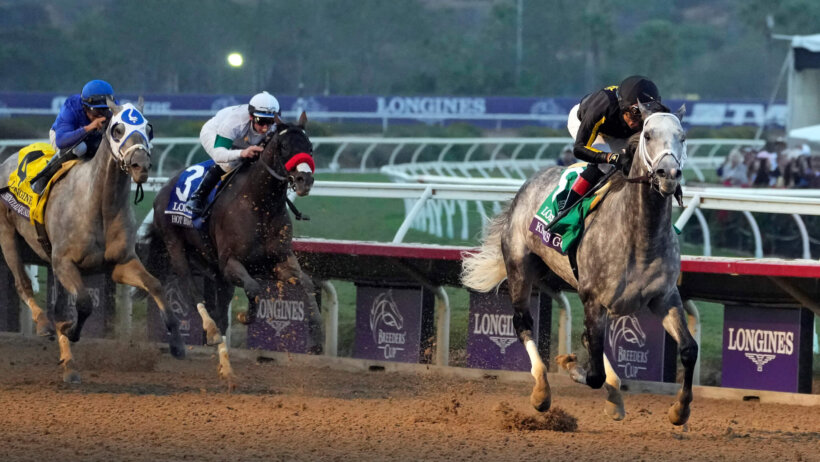Breeders Cup