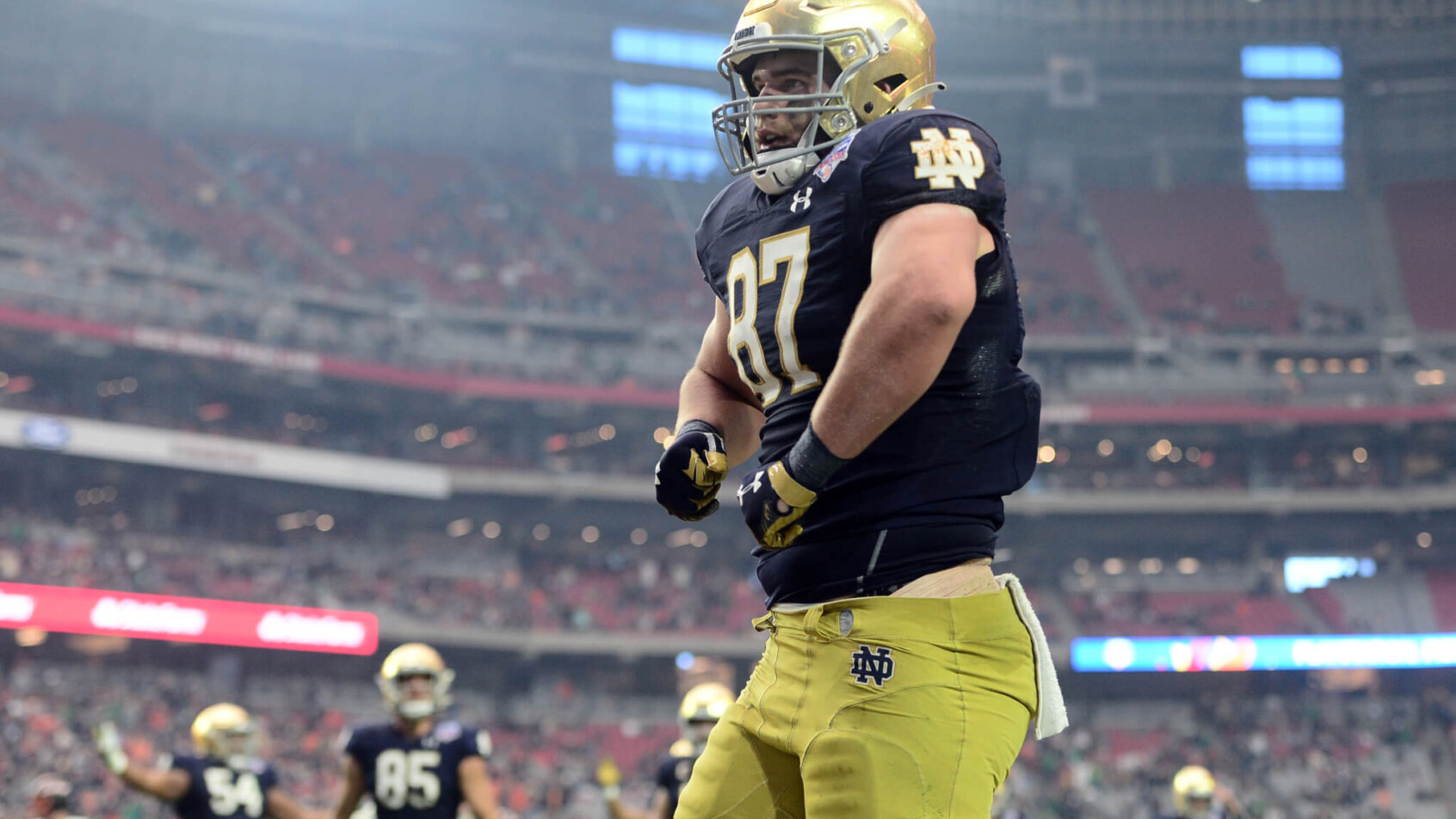 Notre Dame Fighting Irish tight end Michael Mayer (87) celebrates a touchdown catch