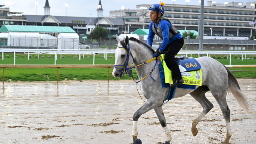 White Abarrio Churchill Downs Kentucky Derby racebook promo codes