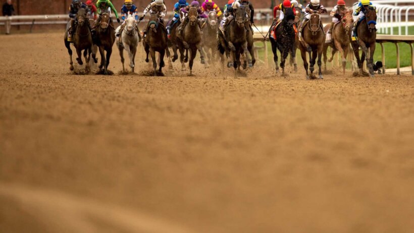 Preakness Stakes
