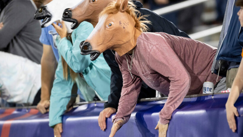 Stallion fans cheering