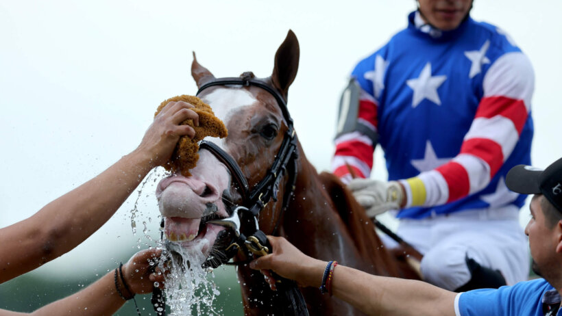 Haskell Stakes