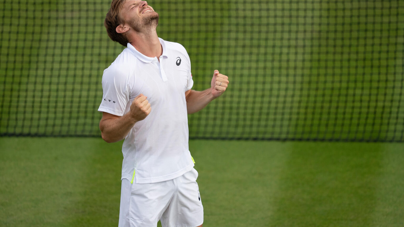 David Goffin