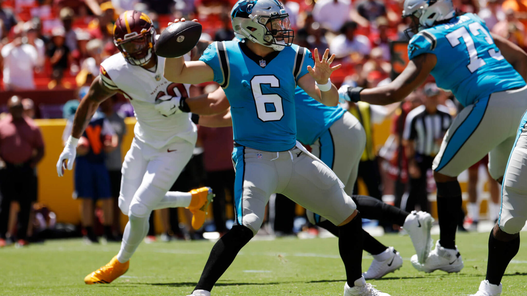 Panthers vs Patriots odds