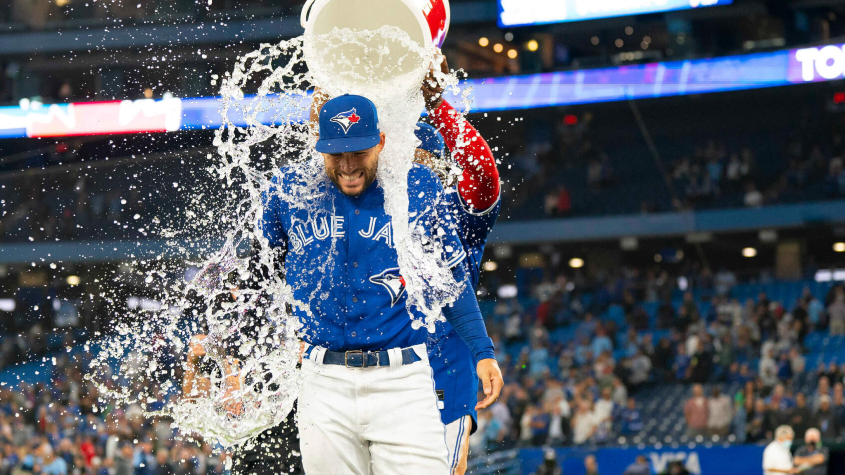Rays vs Blue Jays odds