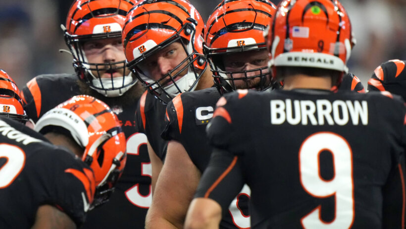 Bengals