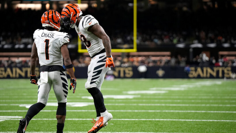 Bengals players celebrate