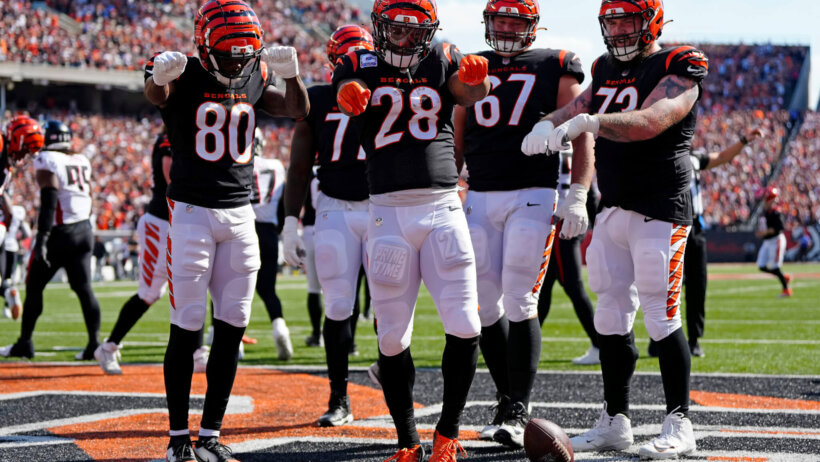 Bengals players celebrate after a TD