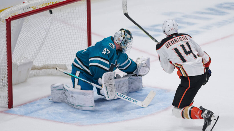 Sharks vs Ducks Odds and Picks
