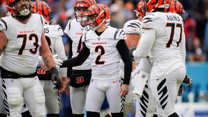Cincinatti Bengals players celebrate
