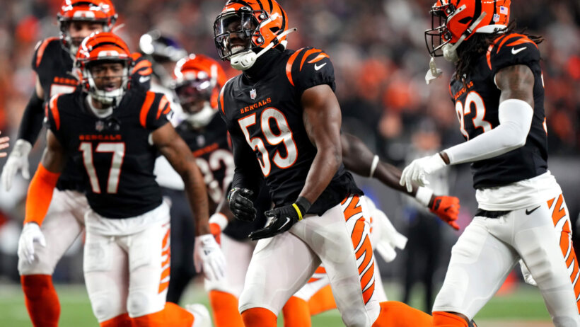 Cincinnati Bengals players celebrating