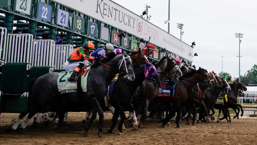 Jockeys riding a group of horses as they emerge from the starting gates of a race.