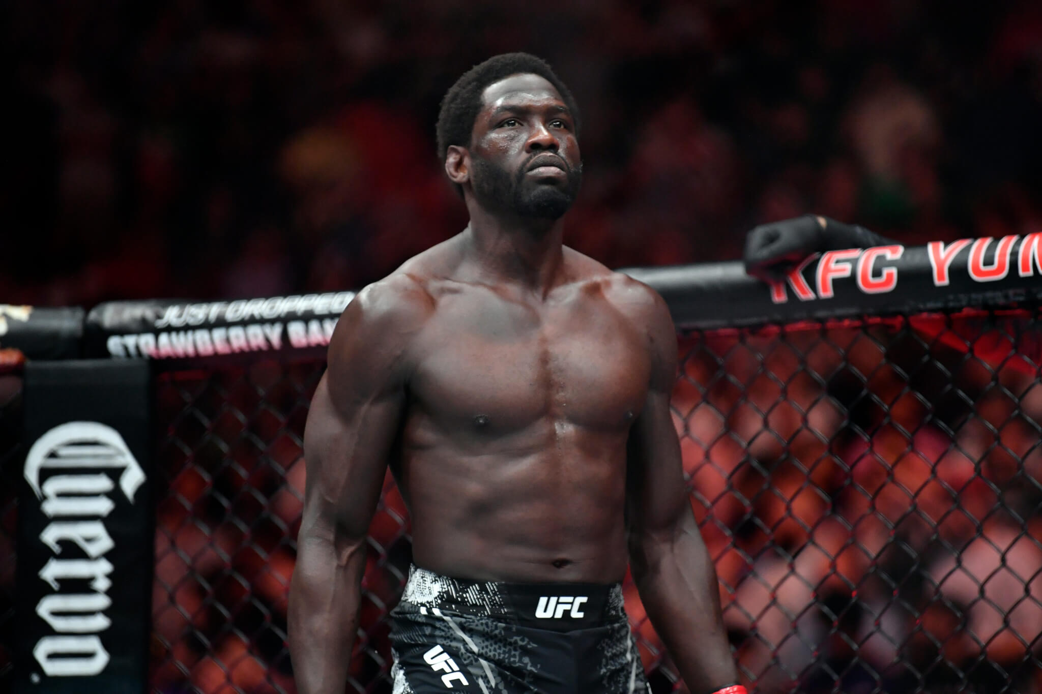 Alex Ricci Ufc UFC Fight Night Odds, Picks & Predictions: Cannonier vs Borralho, Hill ...