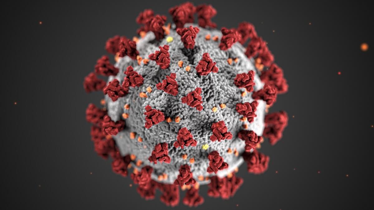 COVID-19 virus.