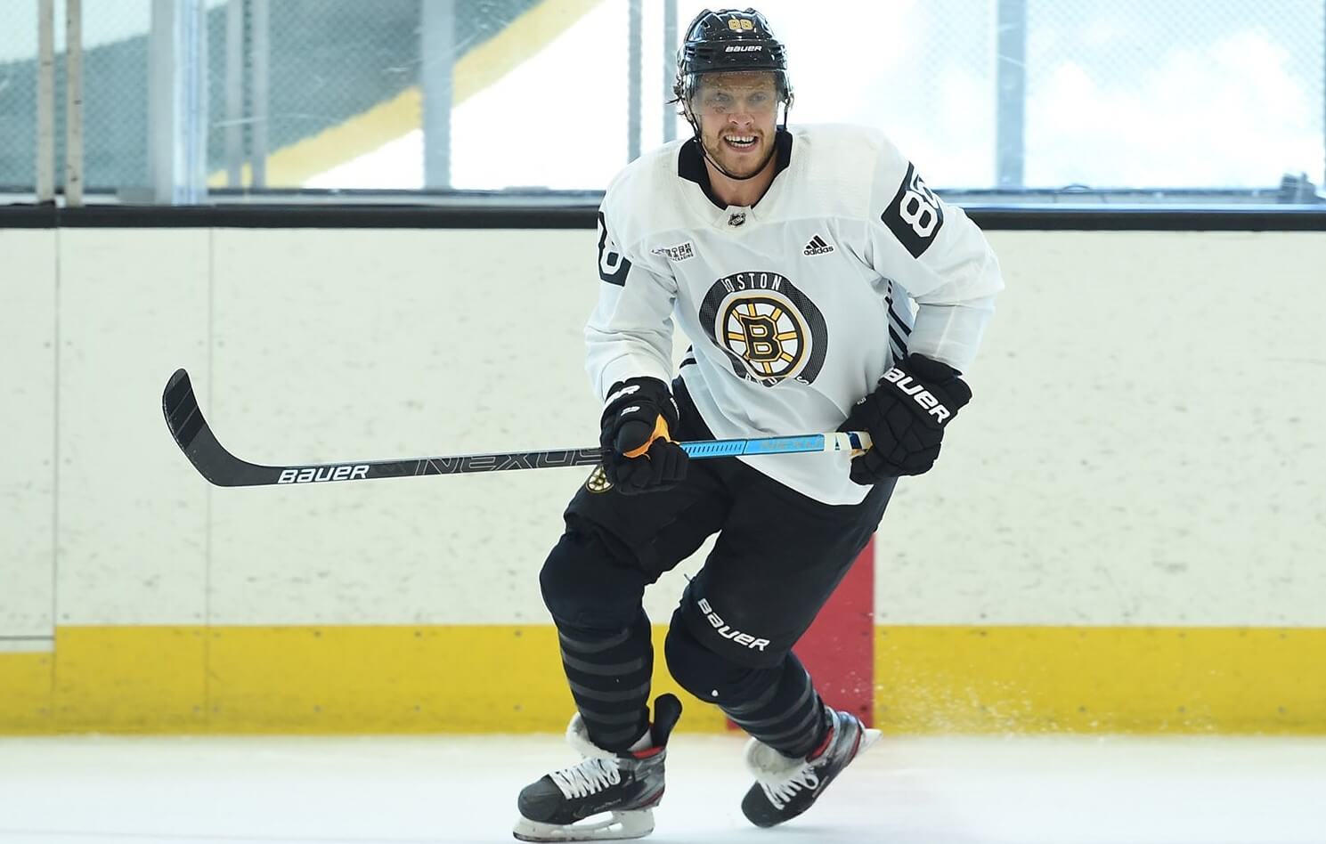 David Pastrnak