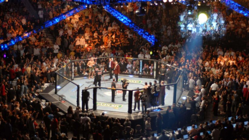 UFC octagon