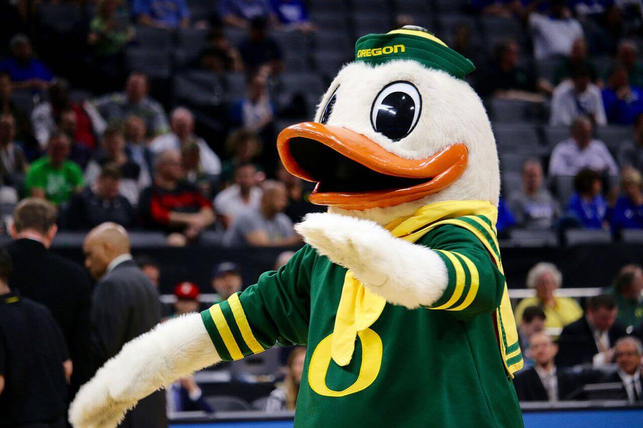 Oregon Ducks basketball