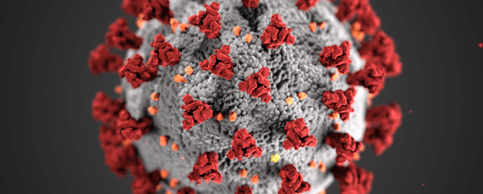 Coronavirus COVID-19