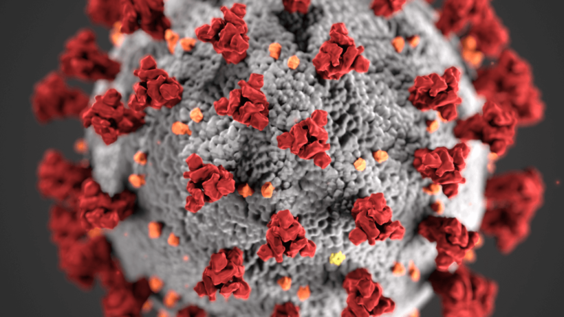 Coronavirus COVID-19