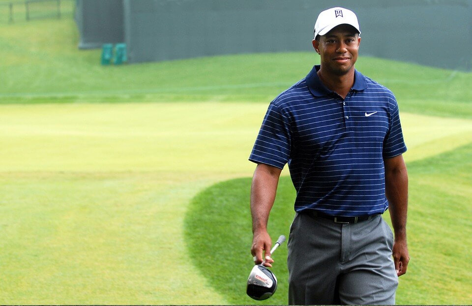 Tiger walking off green