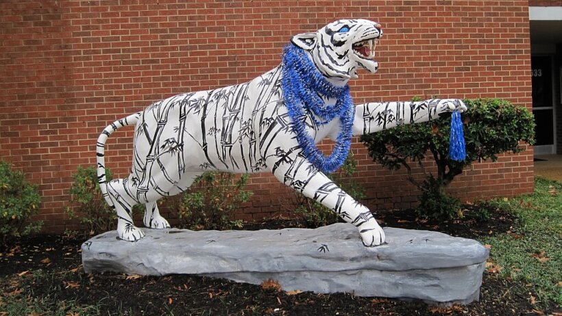 Memphis Tigers on campus.