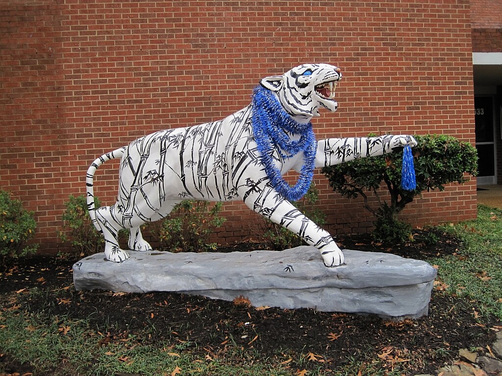 Memphis Tigers on campus.