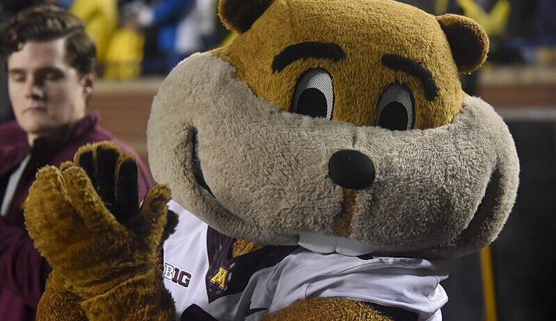 Minnesota's mascot on the field
