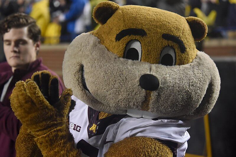 Minnesota's mascot on the field