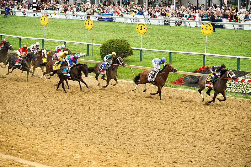 Horses contest the Preakness at Pimlico