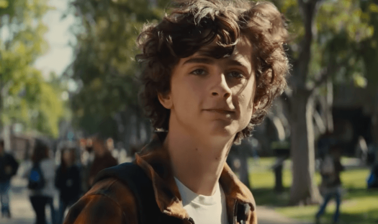 Timothee Chalamet in Beautiful Boy